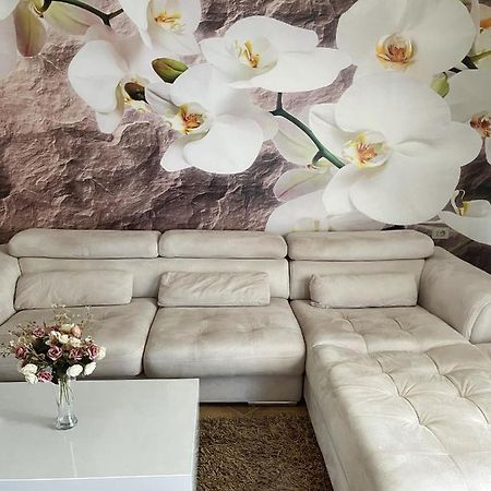 SunKissed Centre Apartment Vlorë Extérieur photo